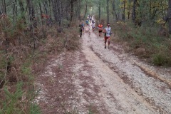 4d820c50-5f39-46fb-ae7a-85ca13997dd1