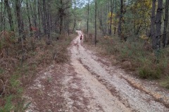 8c8f3ef8-640c-4b8a-b348-2aa73d79b201