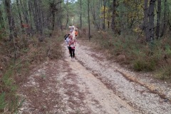 981fb63f-0772-4871-bb58-5fe689e944a3